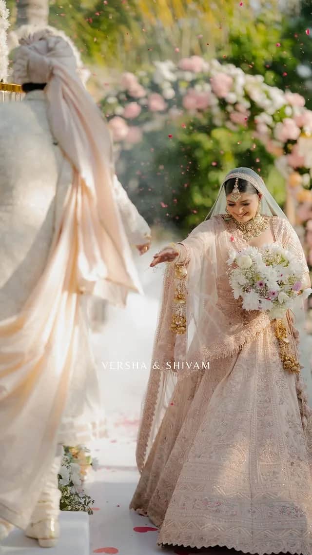 Portfolio 7